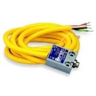 NEMA 9007 ML/MS Miniature Limit Switches category image