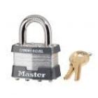 Keyed Alike Padlocks category image