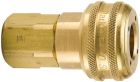 3/8 Inch Push-To-Connect X 3/8 Inch FNPT 300 PSI Brass Quick Coupler