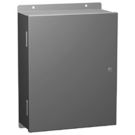 N1 Wallmount Encl w/Panel - 24x24x9 - Steel/Gray