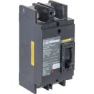PowerPact Q - molded case circuit breaker - 2-pole - 10 kA - 240 V - 175 A