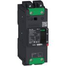 PowerPact B Circuit Breaker, 15A 2P AC 65kA at 480/440V(UL/IEC)-TMD-EverLink lug