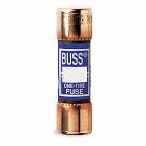 BUSNON-10.jpg