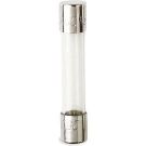 250 VAC 2 Ampre Miniature Fuse