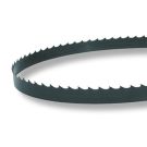 CARBON STEEL