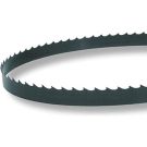 CARBON STEEL