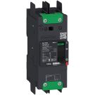 PowerPact B Circuit Breaker, 15A 2P AC 18kA at 480/440V(UL/IEC)-TMD-compression lug