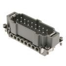 CNEM-16T.jpg