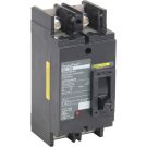 PowerPact Q - molded case circuit breaker - 2-pole - 65 kA - 240 V - 200 A
