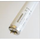 40 Watt 48 Inch T12 Linear Fluorescant Blub, 4100K 87 CRI Medium Bi-Pin G13 Base 24441