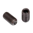 FASSS10-24X12.jpg