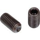 FASSS10-24X12.jpg
