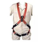harness.jpg