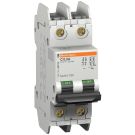 3A 240VAC 125VDC 2P Thermal Magnetic Branch Miniature Circuit Breaker