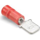 ID-PIC-18ra250t_sk1