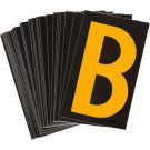 ID-PIC-5000-B.jpg