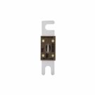 ID-PIC-ANL-100_C.jpg