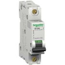 10A 277VAC 60VDC 1P Current Limiting Thermal Magnetic Supplementary Protector