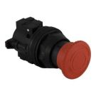 ID-PIC-PF152170_web.jpg