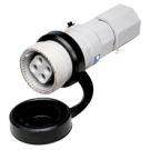 ID-PIC-v1-cch_pr_nonmetallic_220.jpg