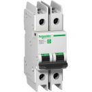 Miniature Circuit Breaker (mcb), Multi9 C60bp, 2p, 2a, D Curve, 10ka (ul489), 10ka (iec/en 60947-2)