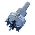 IDE36-305.jpg