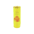 LSSFCH0034-G.jpg