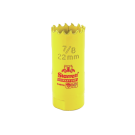 LSSFCH0078-G.jpg