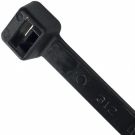 PANPLT4S-C0.jpg