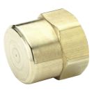 1/4 Inch FNPT 1000 PSI Brass Pipe Cap