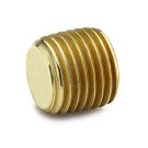 1/8 Inch MNPT 1000 PSI Brass Pipe Plug