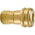 3/8 Inch Push-To-Connect X 3/8 Inch FNPT 300 PSI Brass Quick Coupler
