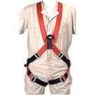 Large Nylon Full Body Harness