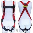 Nylon Full Body Harness - Large