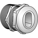 OZGSE501