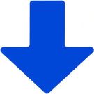 2 In X 5 In B514 Blue Floor Arrows 100/pkg