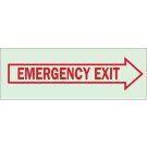 BradyGlo Emergency Exit Sign - Photoluminescent Polyester - Red on Glow - 5 x 14