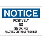 NOTICE Positively No Smoking Allowed On These Premises Sign - Light Duty Plastic - Black/Blue on White - 10 x 14