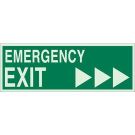 BradyGlo EMERGENCY EXIT Sign - Glow-in-the-dark Plastic - Green on Glow - 5 x 14