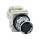 Illuminated Push-button, Harmony 9001SK, Plastic, Plastic Guard Flush, Green, 30MM, Spring Return, 110-120V, 1 C/O