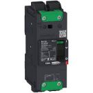 PowerPact B Unit Mount Circuit Breaker-15A 2P AC 18kA at 600Y/347V (UL) - EverLink lug
