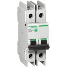 Multi 9 Circuit Breaker C60BP - 2P - 10 A - C Curve - 240/480 VAC - Max 14 KA - UL 489