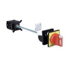 TeSys Mini-Vario Manual Switch Disconnector - 20 Amp (IEC) - Rear Mount - Red/Yellow Handle, UL 508, Includes Extension Shaft