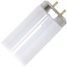 24" 20w T12 Medium Bi Pin Preheat Fluorescent Lamp 22078
