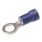 TP-BA-Blue_Photo_RGB