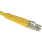 M12 Sheilded Ethernet Cable 2 Meter, 4 Pin M12 Male to M8 Male (RSSD PSGS 4M 4413-2M)