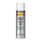 Paint Spray Gloss White 15 Oz