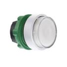 Head For Illuminated Push Button, Harmony XB5, Grey Bezel, White Flush, 22MM, Universal Led, Spring Return, Grooved Lens